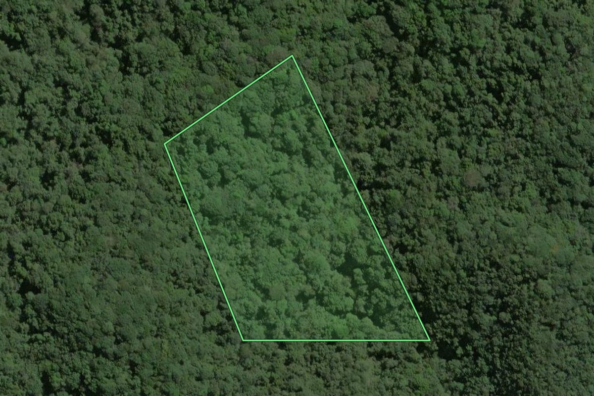 Imagem de satélite do imóvel rural em Ribeirão Grande (SP), com o contorno declarado no CAR desenhado por cima.