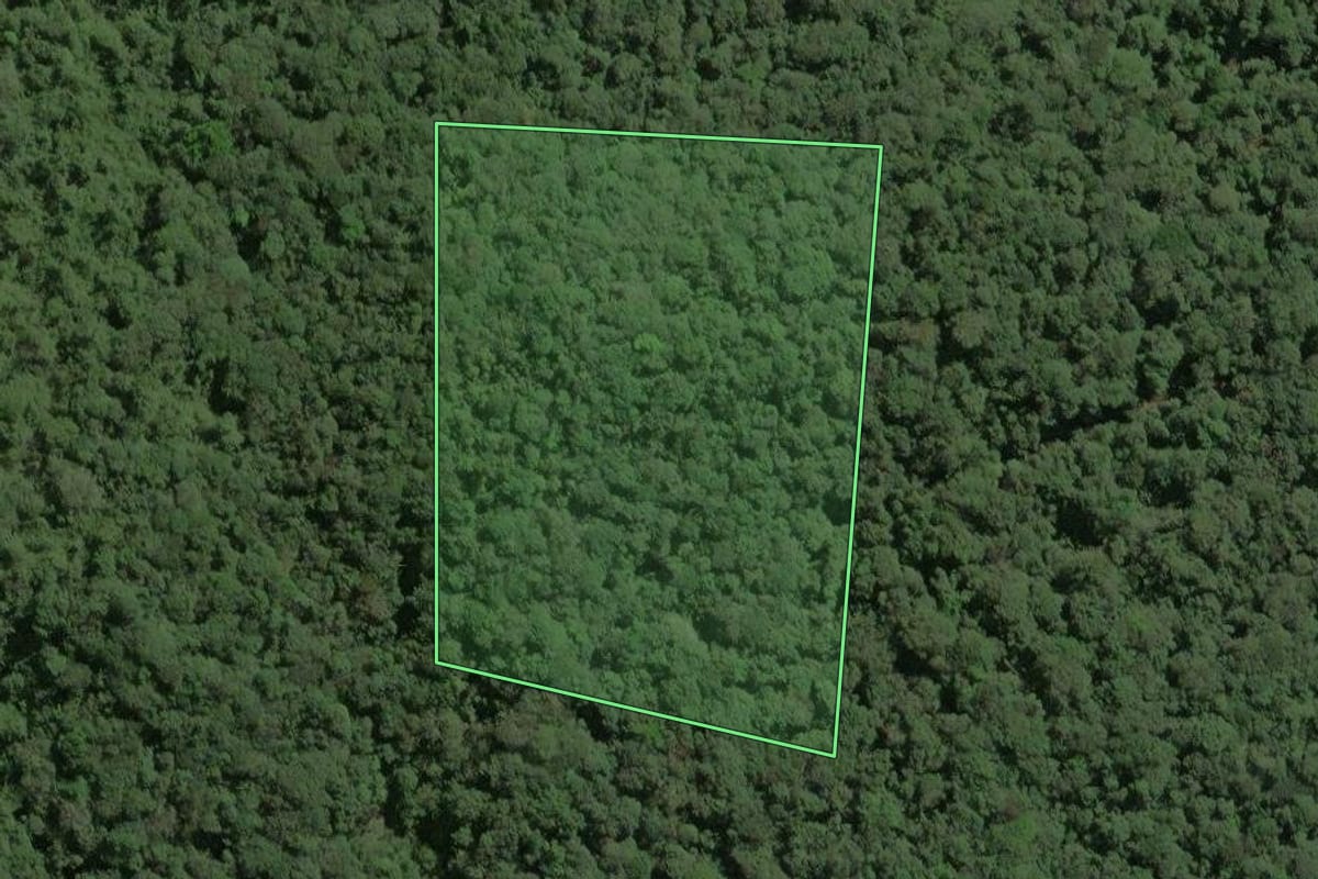 Imagem de satélite do imóvel rural em Ribeirão Grande (SP), com o contorno declarado no CAR desenhado por cima.