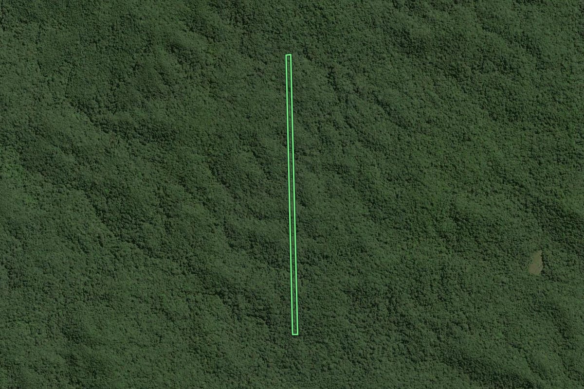 Imagem de satélite do imóvel rural em Ribeirão Grande (SP), com o contorno declarado no CAR desenhado por cima.