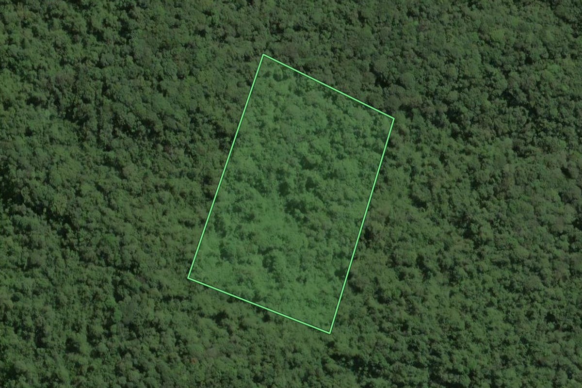 Imagem de satélite do imóvel rural em Ribeirão Grande (SP), com o contorno declarado no CAR desenhado por cima.