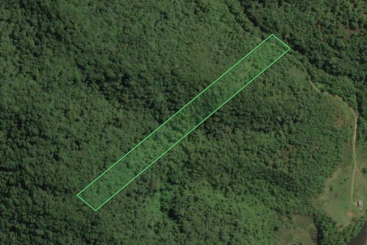 Imagem de satélite do imóvel rural em Ribeirão Grande (SP), com o contorno declarado no CAR desenhado por cima.
