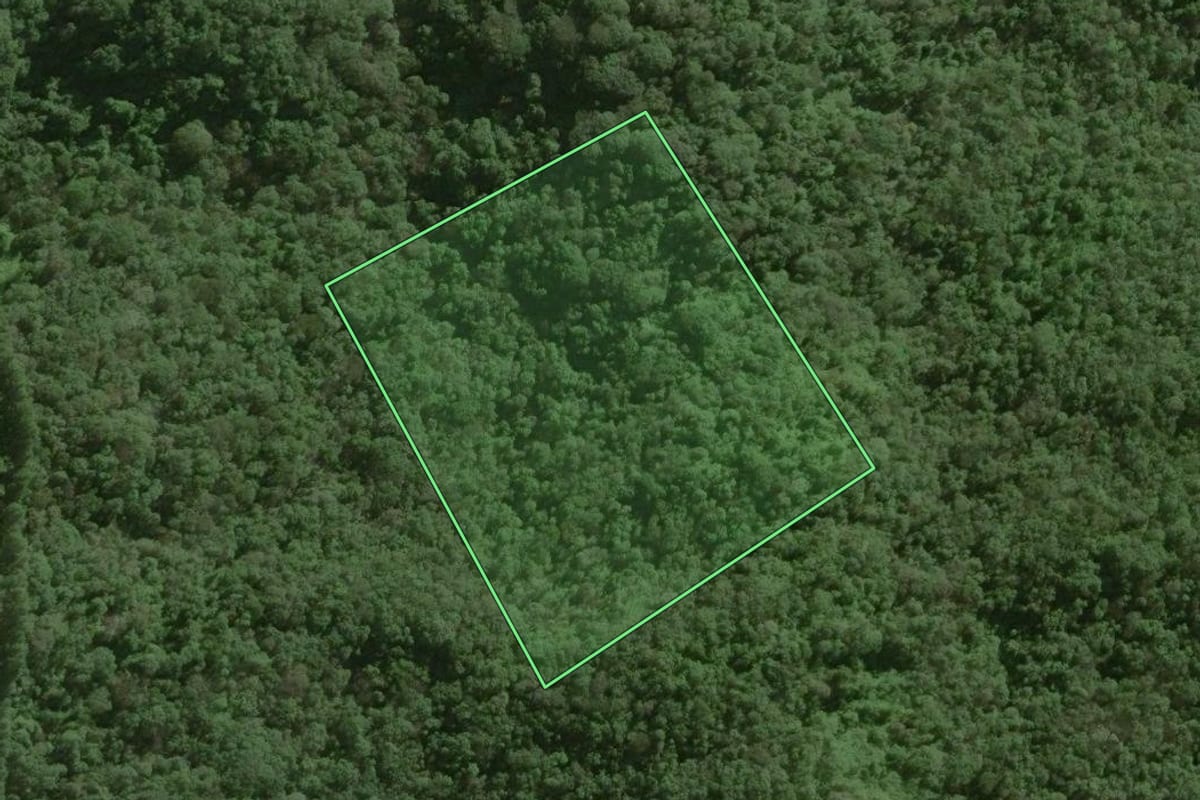 Imagem de satélite do imóvel rural em Ribeirão Grande (SP), com o contorno declarado no CAR desenhado por cima.