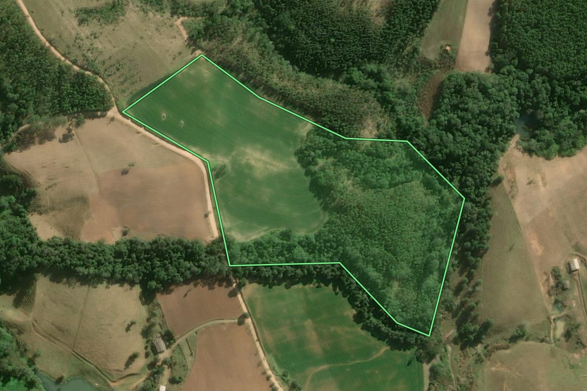 Imagem de satélite do imóvel rural em Ribeirão Grande (SP), com o contorno declarado no CAR desenhado por cima.
