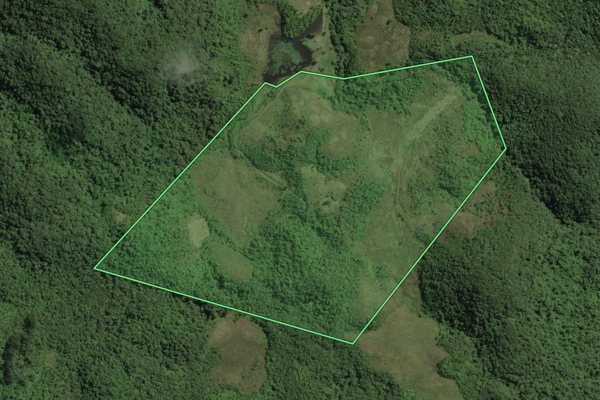 Imagem de satélite do imóvel rural em Ribeirão Grande (SP), com o contorno declarado no CAR desenhado por cima.