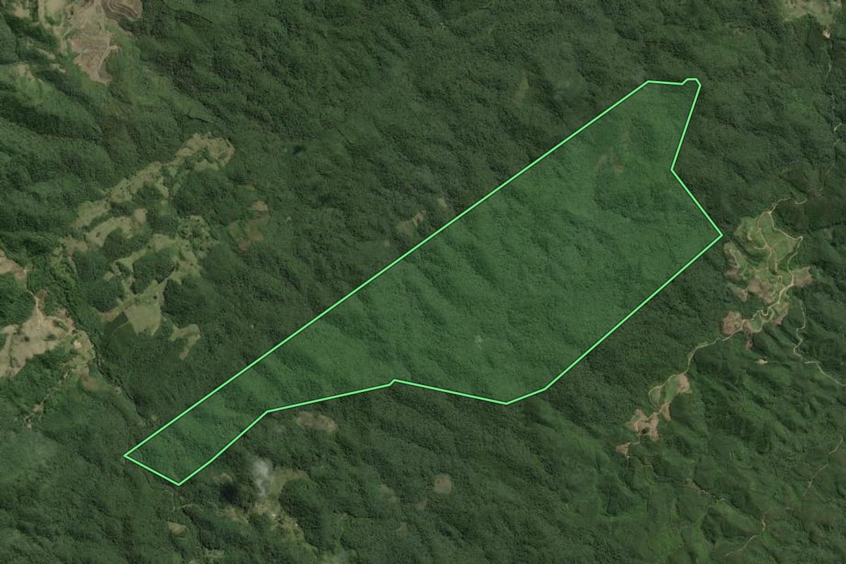 Imagem de satélite do imóvel rural em Ribeirão Grande (SP), com o contorno declarado no CAR desenhado por cima.