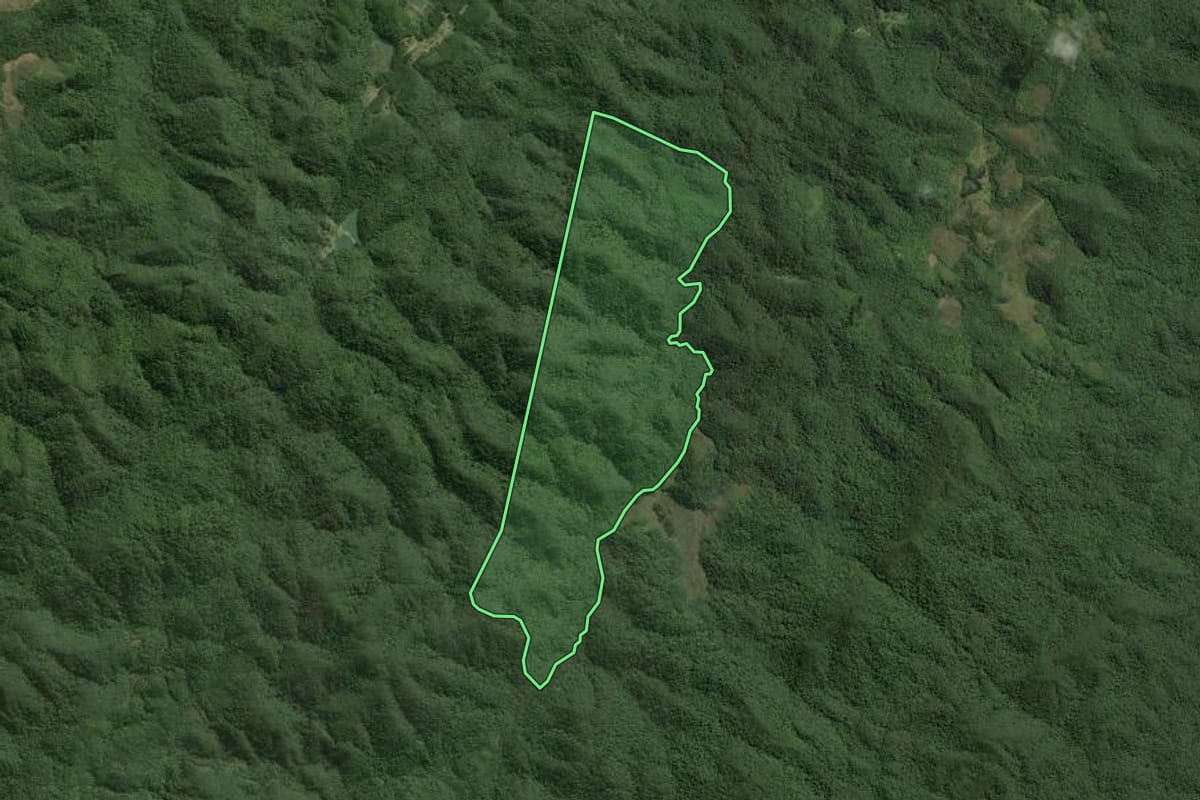 Imagem de satélite do imóvel rural em Ribeirão Grande (SP), com o contorno declarado no CAR desenhado por cima.