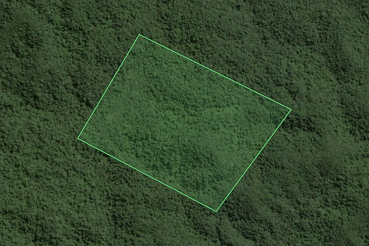Imagem de satélite do imóvel rural em Ribeirão Grande (SP), com o contorno declarado no CAR desenhado por cima.