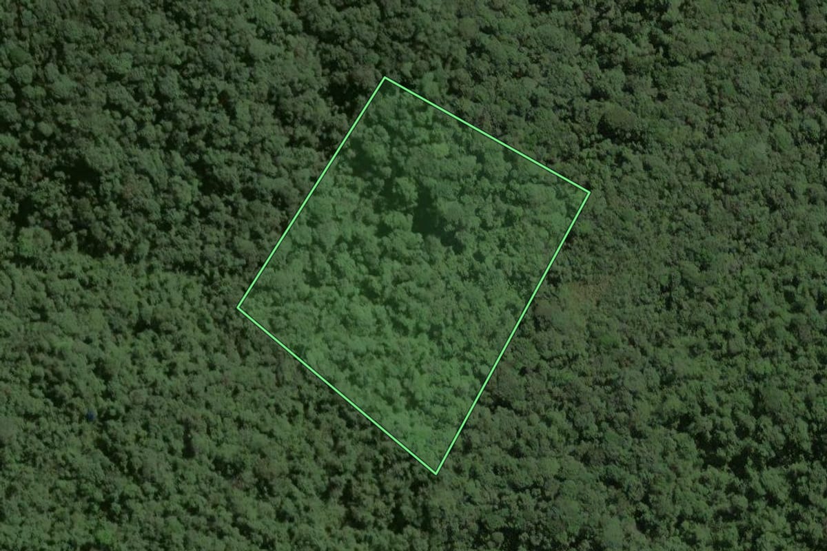 Imagem de satélite do imóvel rural em Ribeirão Grande (SP), com o contorno declarado no CAR desenhado por cima.