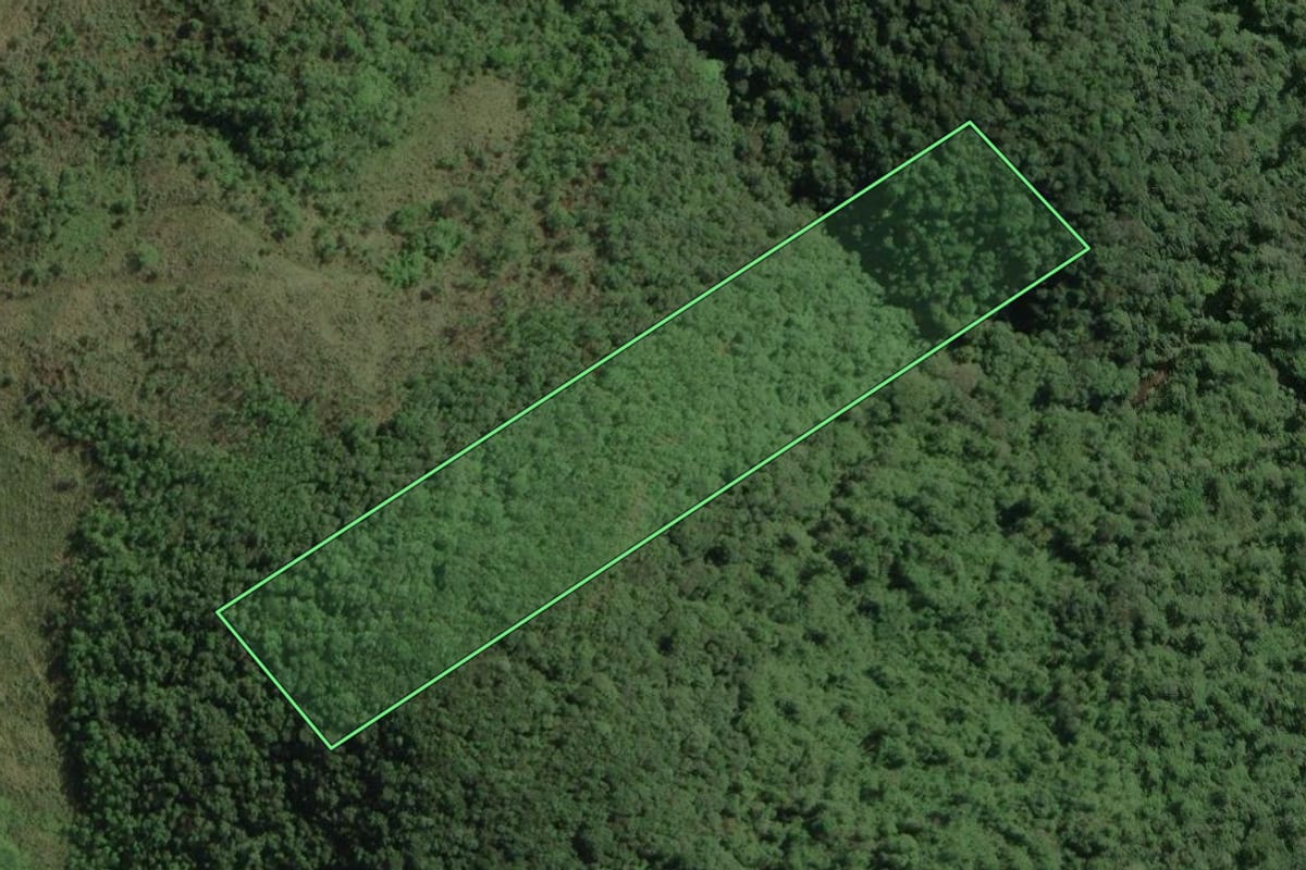 Imagem de satélite do imóvel rural em Ribeirão Grande (SP), com o contorno declarado no CAR desenhado por cima.