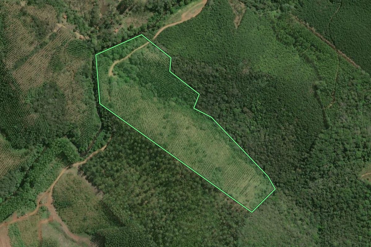 Imagem de satélite do imóvel rural em Ribeirão Grande (SP), com o contorno declarado no CAR desenhado por cima.