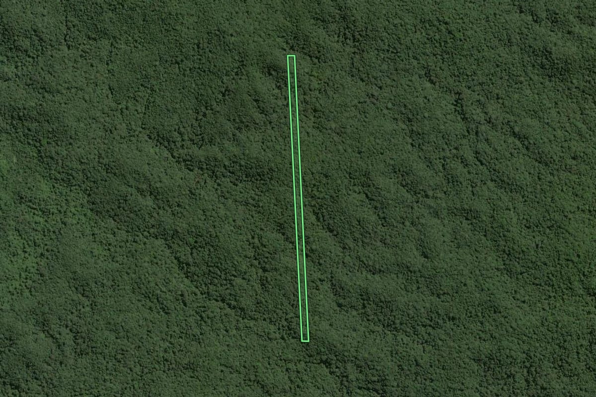 Imagem de satélite do imóvel rural em Ribeirão Grande (SP), com o contorno declarado no CAR desenhado por cima.