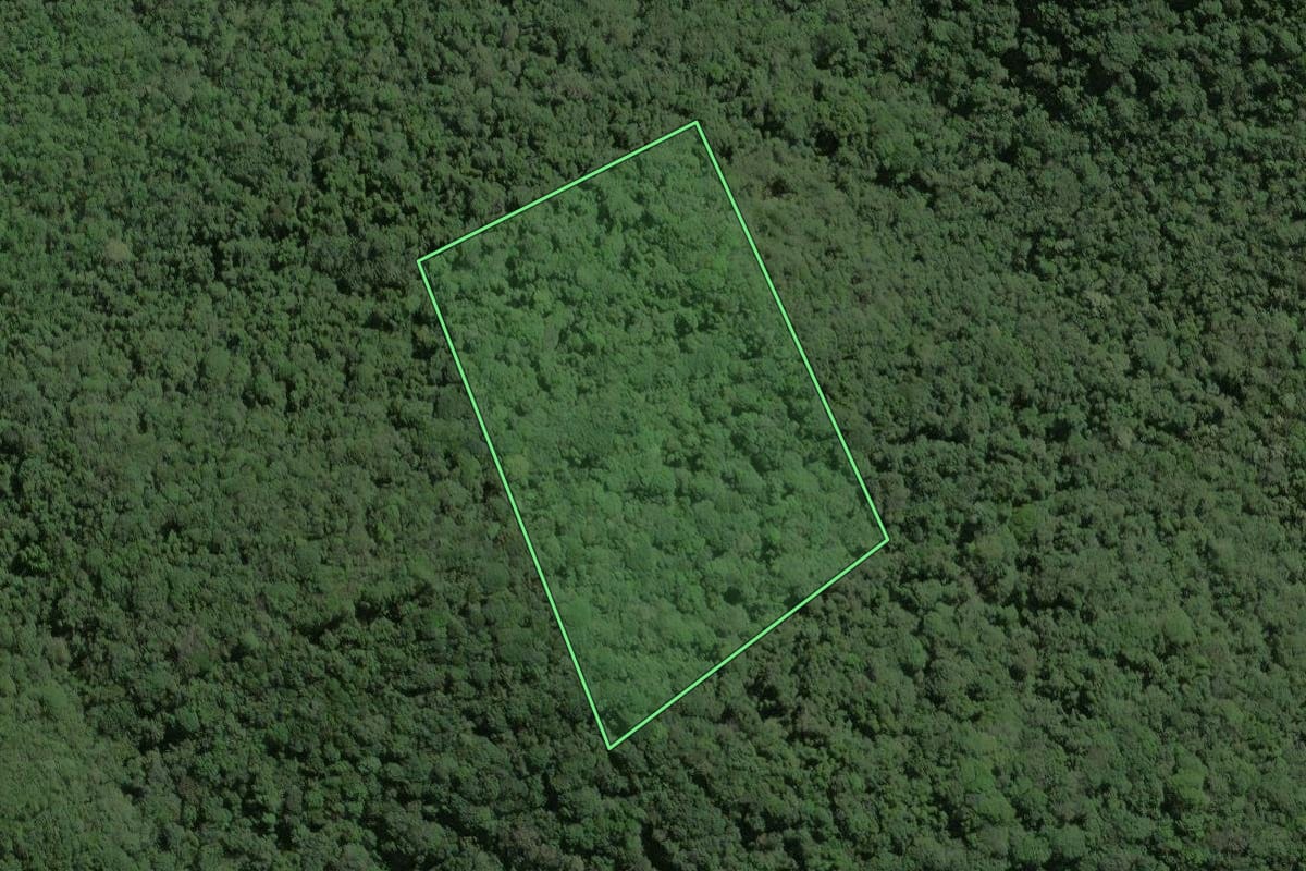Imagem de satélite do imóvel rural em Ribeirão Grande (SP), com o contorno declarado no CAR desenhado por cima.
