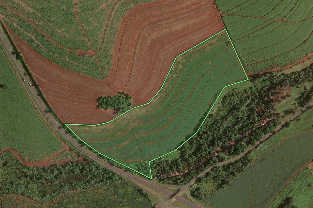 Imagem de satélite do imóvel rural em Ribeirão Preto (SP), com o contorno declarado no CAR desenhado por cima.