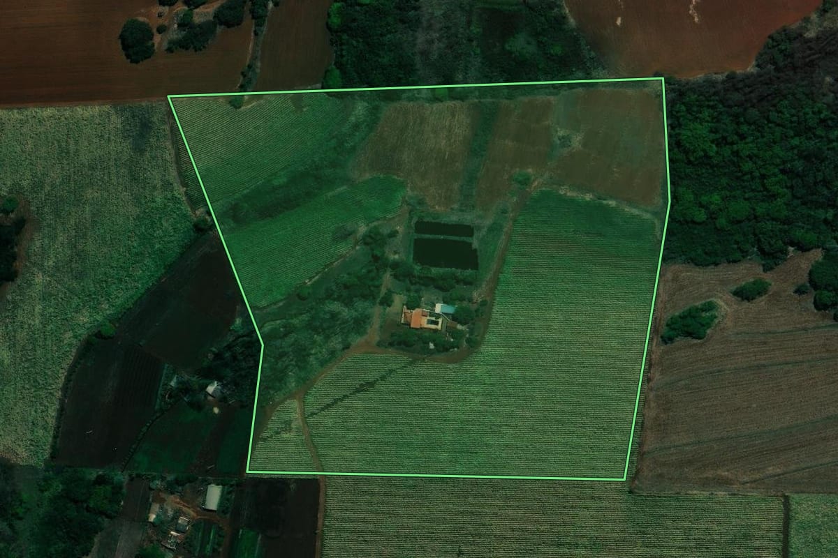 Imagem de satélite do imóvel rural em Ribeirão Preto (SP), com o contorno declarado no CAR desenhado por cima.