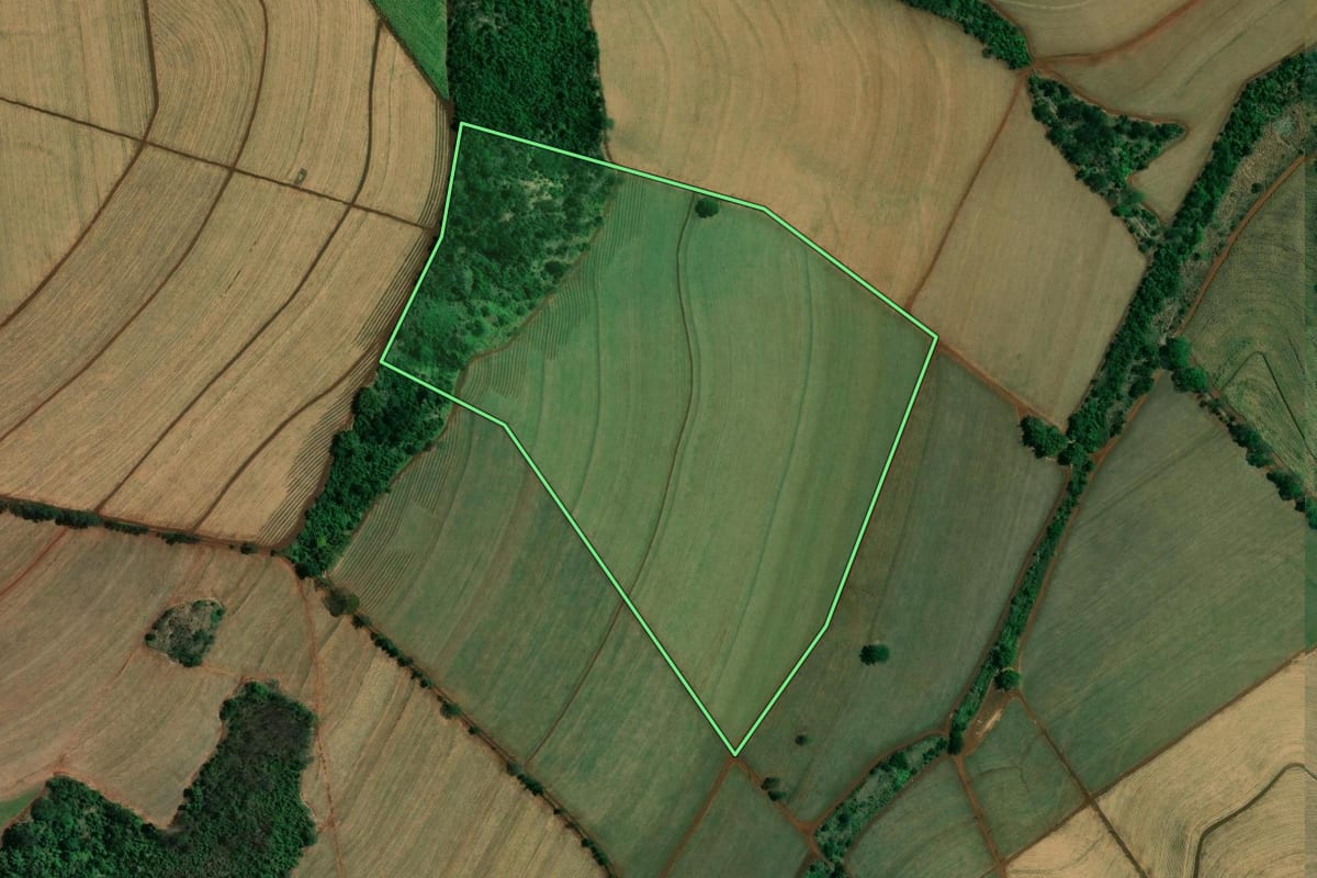 Imagem de satélite do imóvel rural em Ribeirão Preto (SP), com o contorno declarado no CAR desenhado por cima.