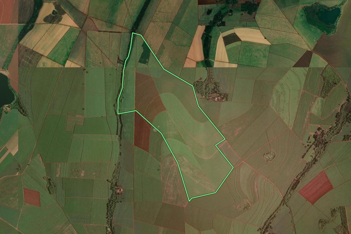 Imagem de satélite do imóvel rural em Ribeirão Preto (SP), com o contorno declarado no CAR desenhado por cima.