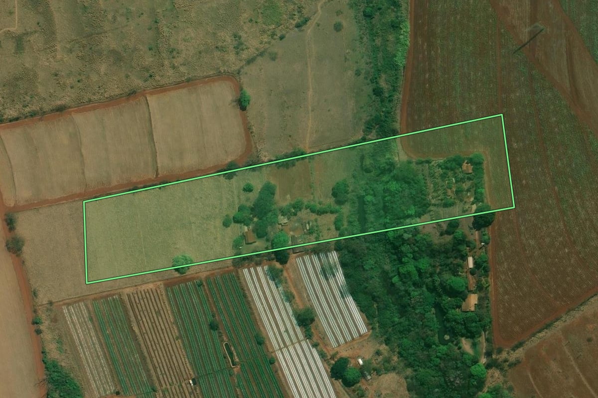 Imagem de satélite do imóvel rural em Ribeirão Preto (SP), com o contorno declarado no CAR desenhado por cima.