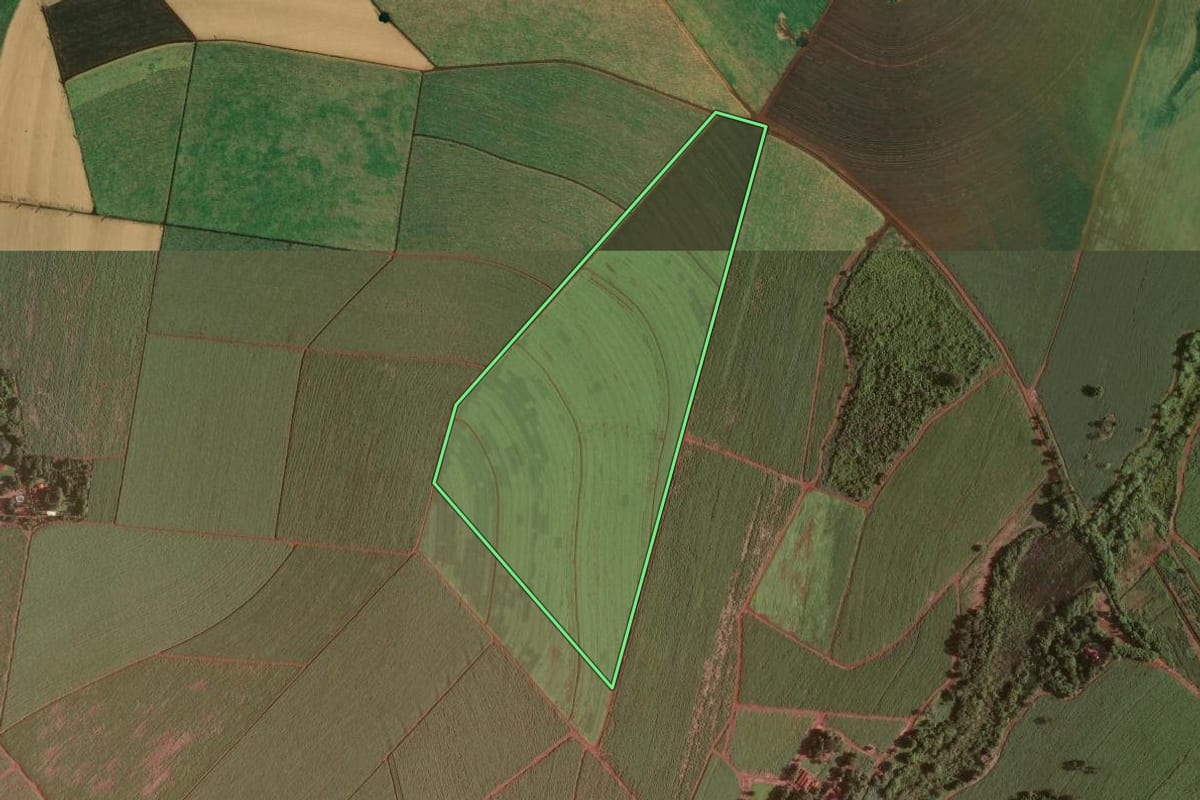 Imagem de satélite do imóvel rural em Ribeirão Preto (SP), com o contorno declarado no CAR desenhado por cima.