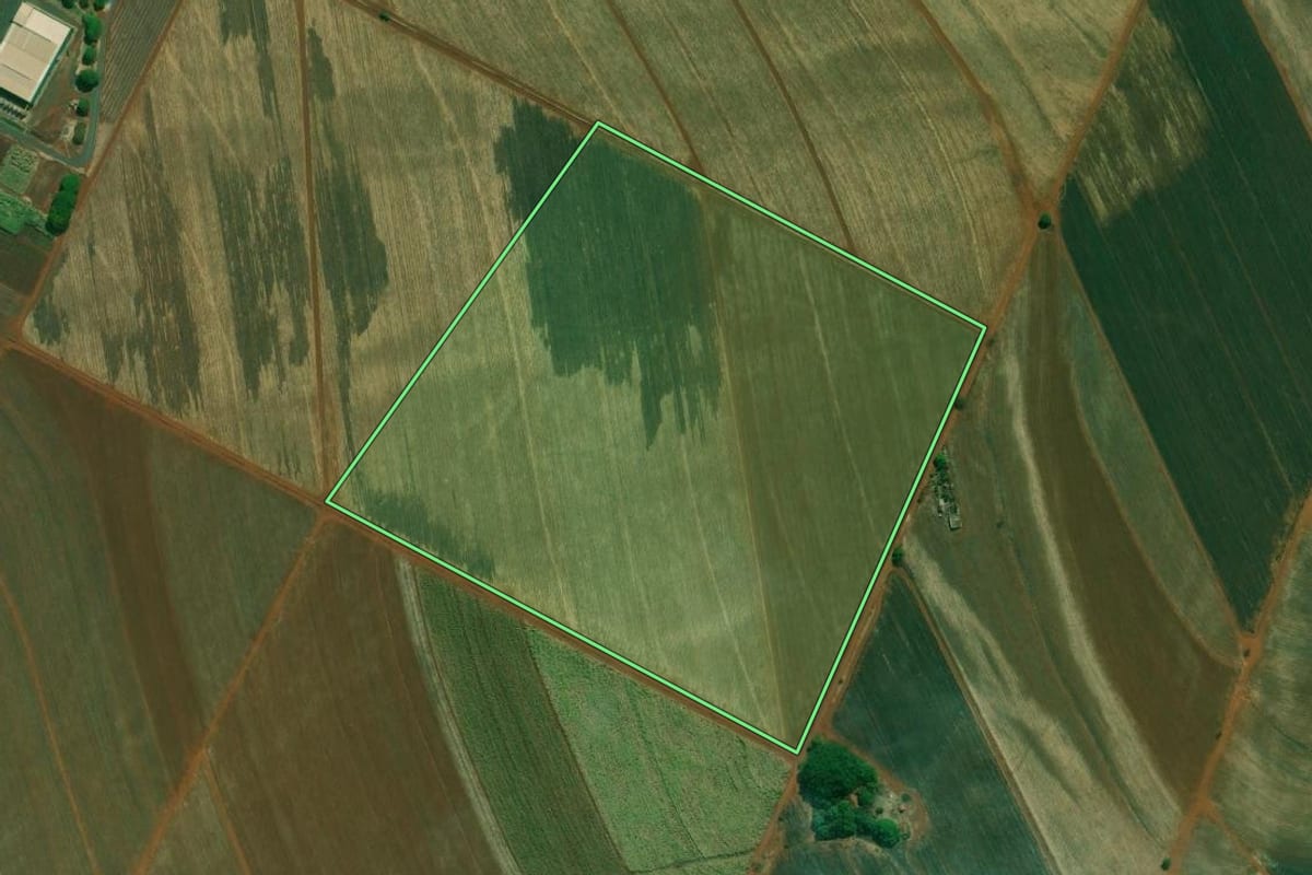 Imagem de satélite do imóvel rural em Ribeirão Preto (SP), com o contorno declarado no CAR desenhado por cima.