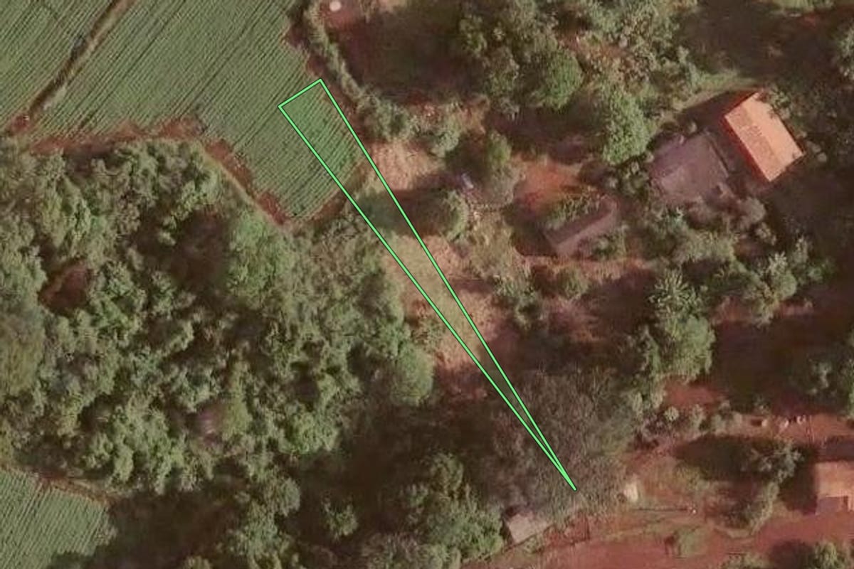 Imagem de satélite do imóvel rural em Ribeirão Preto (SP), com o contorno declarado no CAR desenhado por cima.