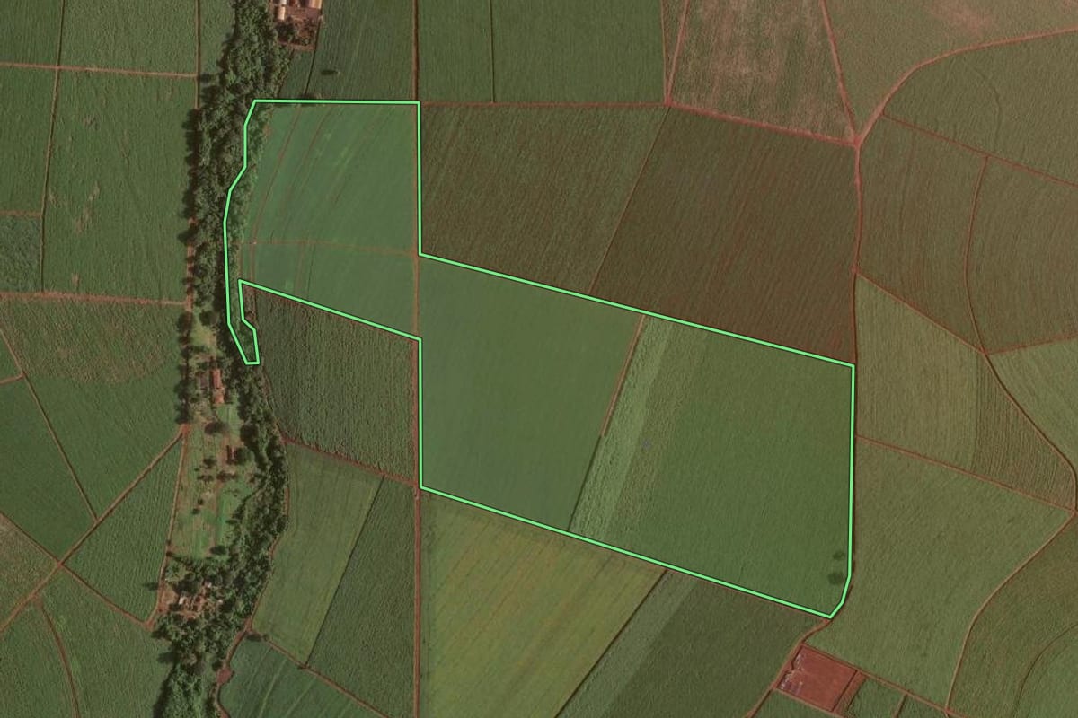 Imagem de satélite do imóvel rural em Ribeirão Preto (SP), com o contorno declarado no CAR desenhado por cima.