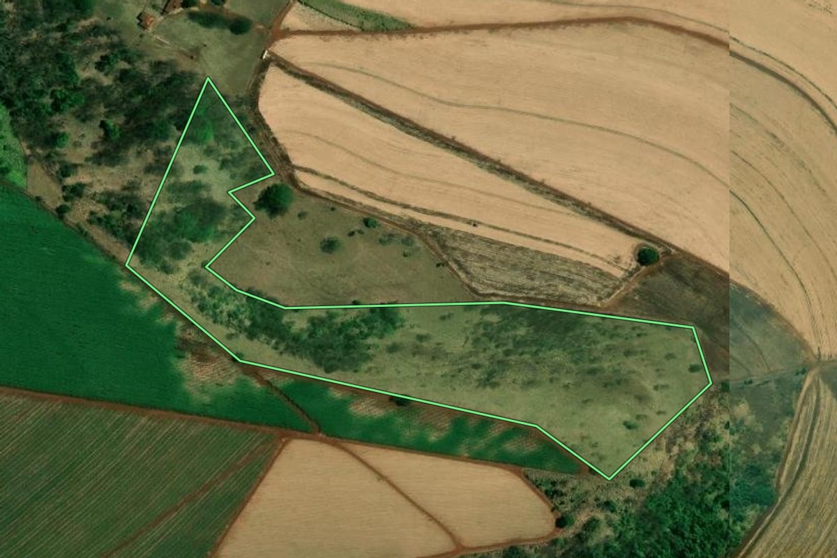 Imagem de satélite do imóvel rural em Ribeirão Preto (SP), com o contorno declarado no CAR desenhado por cima.
