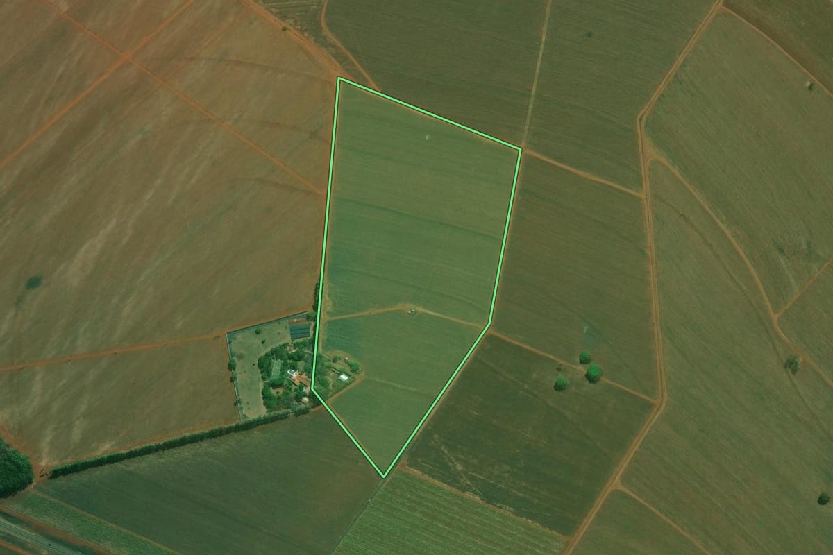 Imagem de satélite do imóvel rural em Ribeirão Preto (SP), com o contorno declarado no CAR desenhado por cima.