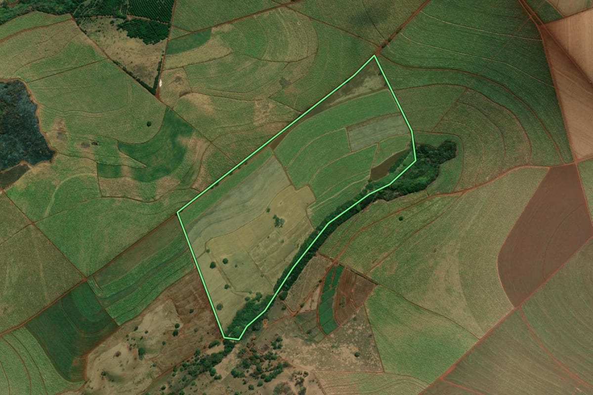 Imagem de satélite do imóvel rural em Ribeirão Preto (SP), com o contorno declarado no CAR desenhado por cima.