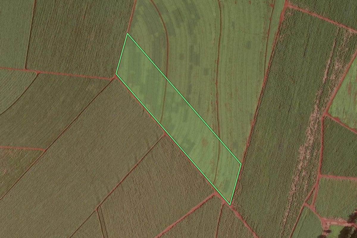 Imagem de satélite do imóvel rural em Ribeirão Preto (SP), com o contorno declarado no CAR desenhado por cima.