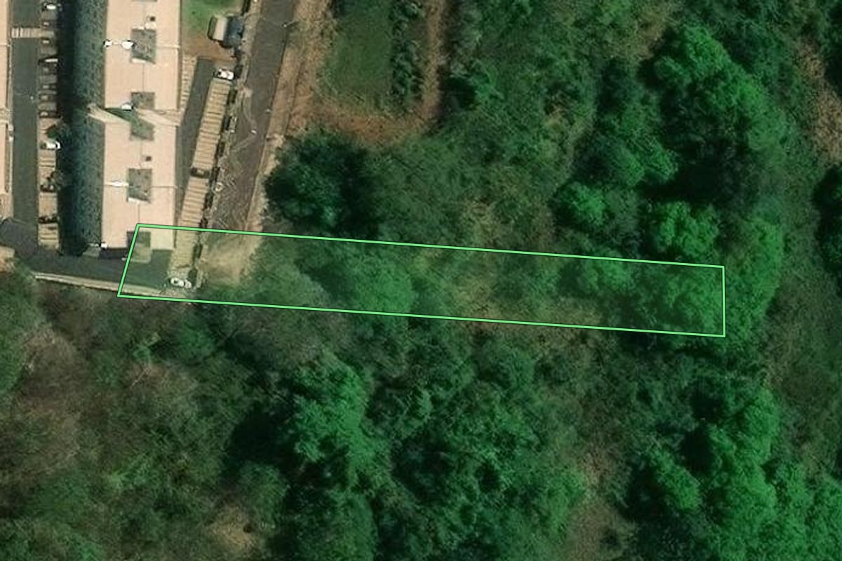 Imagem de satélite do imóvel rural em Ribeirão Preto (SP), com o contorno declarado no CAR desenhado por cima.