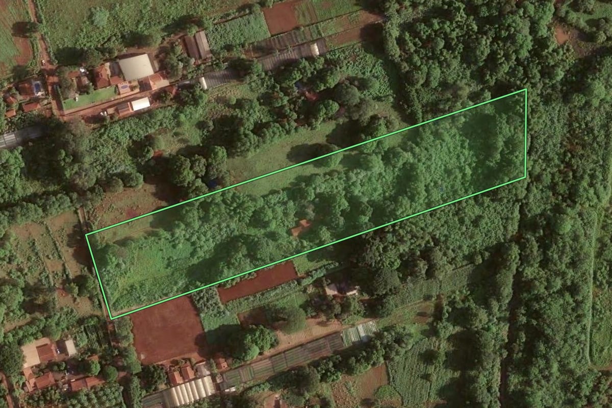 Imagem de satélite do imóvel rural em Ribeirão Preto (SP), com o contorno declarado no CAR desenhado por cima.