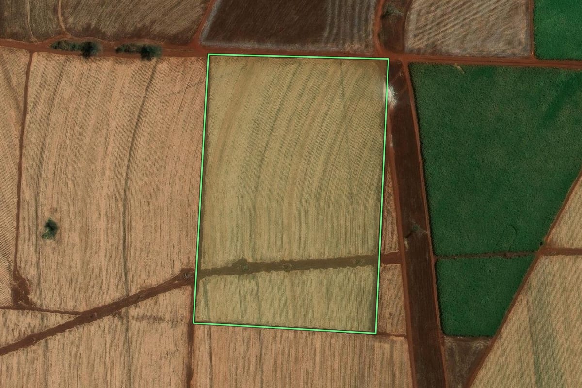 Imagem de satélite do imóvel rural em Ribeirão Preto (SP), com o contorno declarado no CAR desenhado por cima.