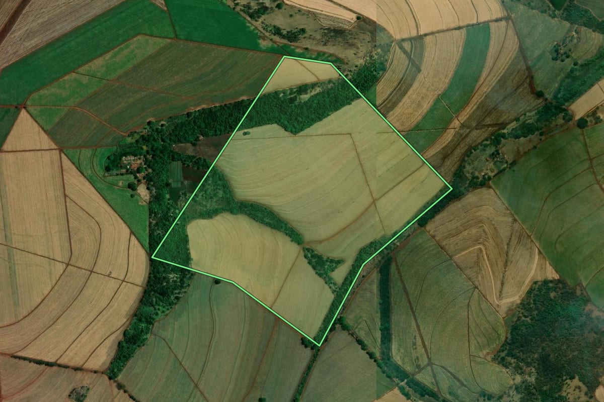 Imagem de satélite do imóvel rural em Ribeirão Preto (SP), com o contorno declarado no CAR desenhado por cima.
