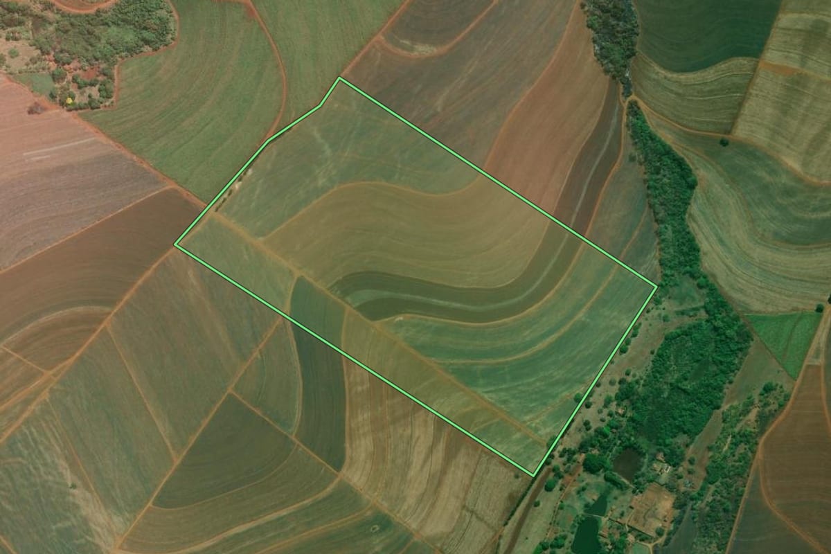 Imagem de satélite do imóvel rural em Ribeirão Preto (SP), com o contorno declarado no CAR desenhado por cima.