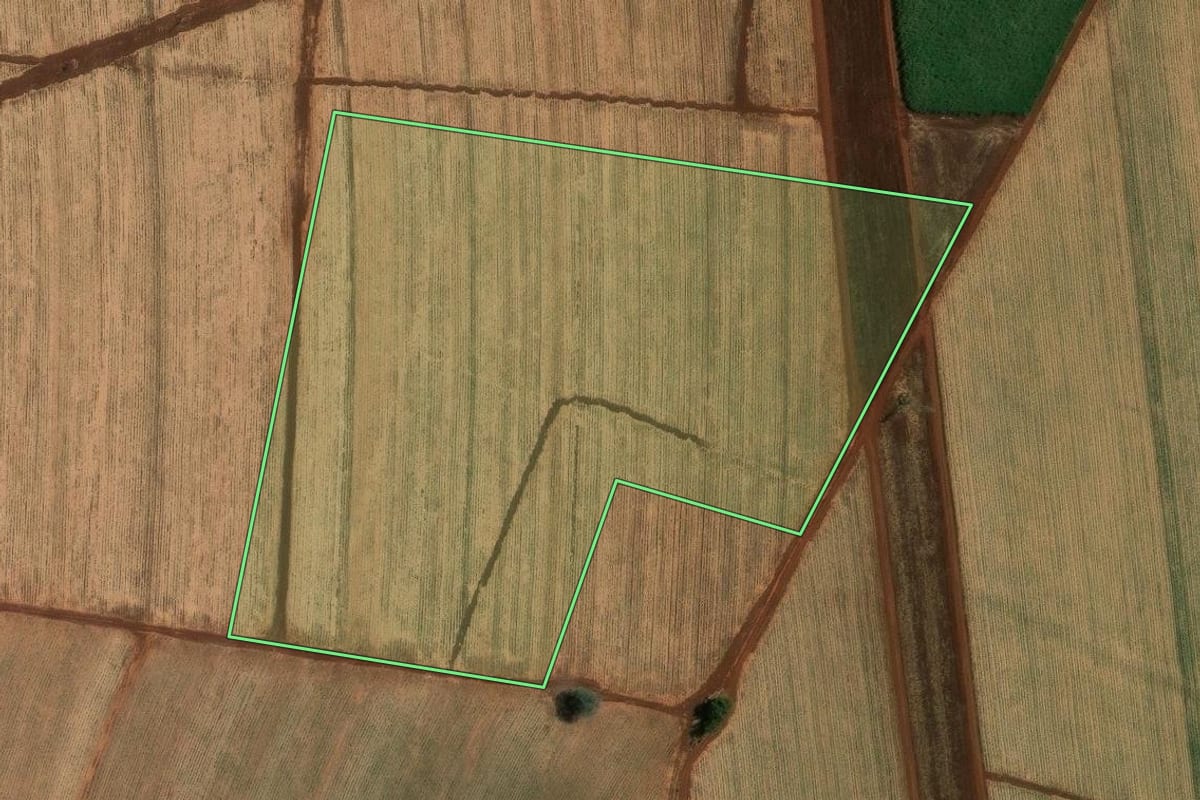Imagem de satélite do imóvel rural em Ribeirão Preto (SP), com o contorno declarado no CAR desenhado por cima.