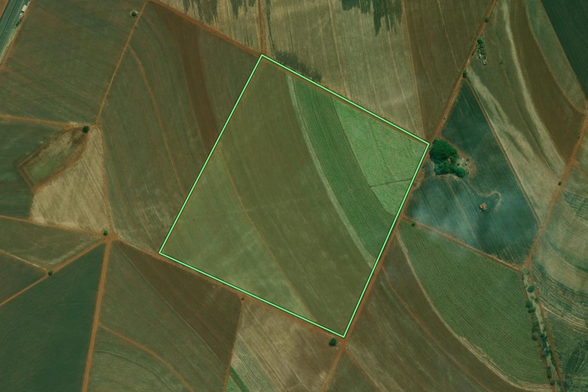 Imagem de satélite do imóvel rural em Ribeirão Preto (SP), com o contorno declarado no CAR desenhado por cima.