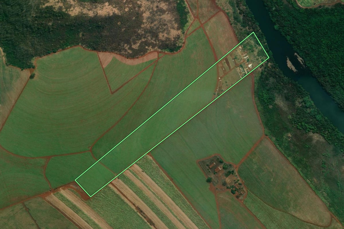 Imagem de satélite do imóvel rural em Ribeirão Preto (SP), com o contorno declarado no CAR desenhado por cima.