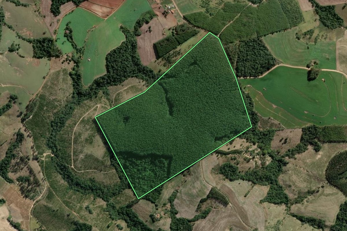 Imagem de satélite do imóvel rural em Riversul (SP), com o contorno declarado no CAR desenhado por cima.