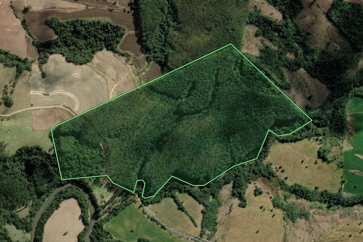 Imagem de satélite do imóvel rural em Riversul (SP), com o contorno declarado no CAR desenhado por cima.
