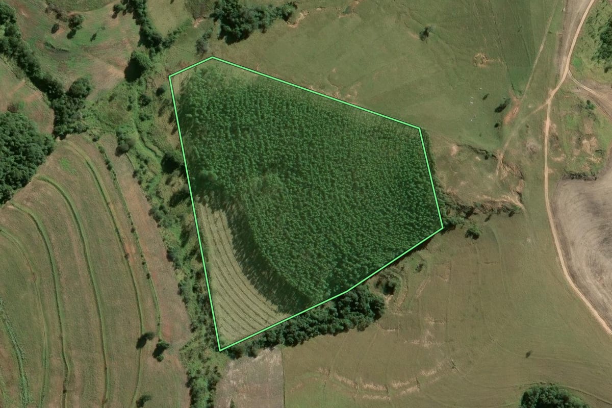 Imagem de satélite do imóvel rural em Riversul (SP), com o contorno declarado no CAR desenhado por cima.