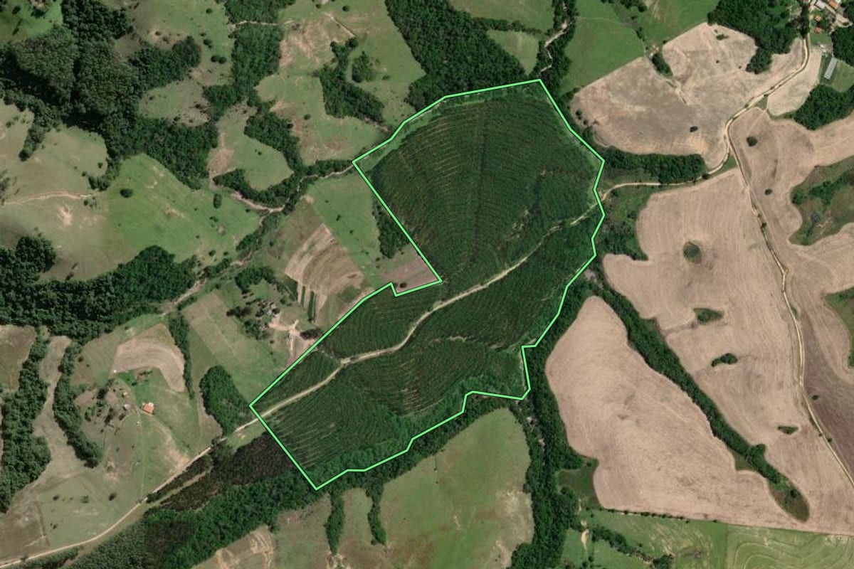 Imagem de satélite do imóvel rural em Riversul (SP), com o contorno declarado no CAR desenhado por cima.