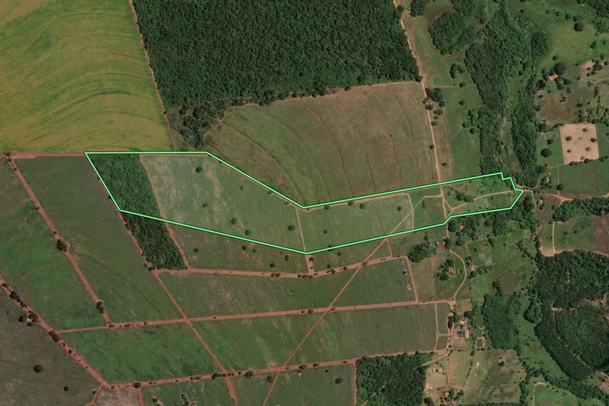 Imagem de satélite do imóvel rural em Rifaina (SP), com o contorno declarado no CAR desenhado por cima.