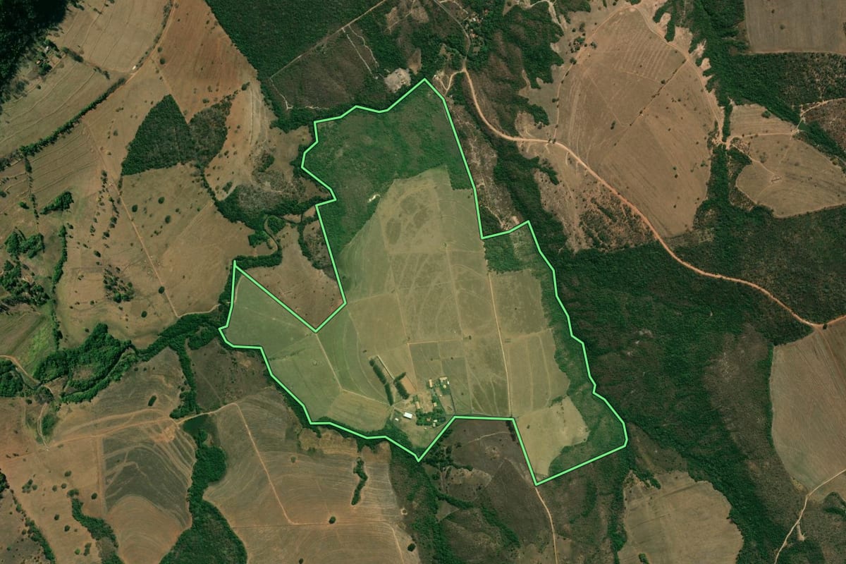 Imagem de satélite do imóvel rural em Rifaina (SP), com o contorno declarado no CAR desenhado por cima.