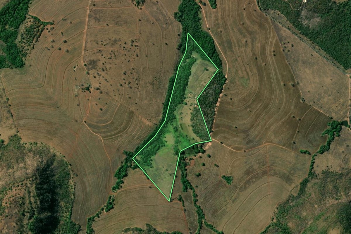Imagem de satélite do imóvel rural em Rifaina (SP), com o contorno declarado no CAR desenhado por cima.