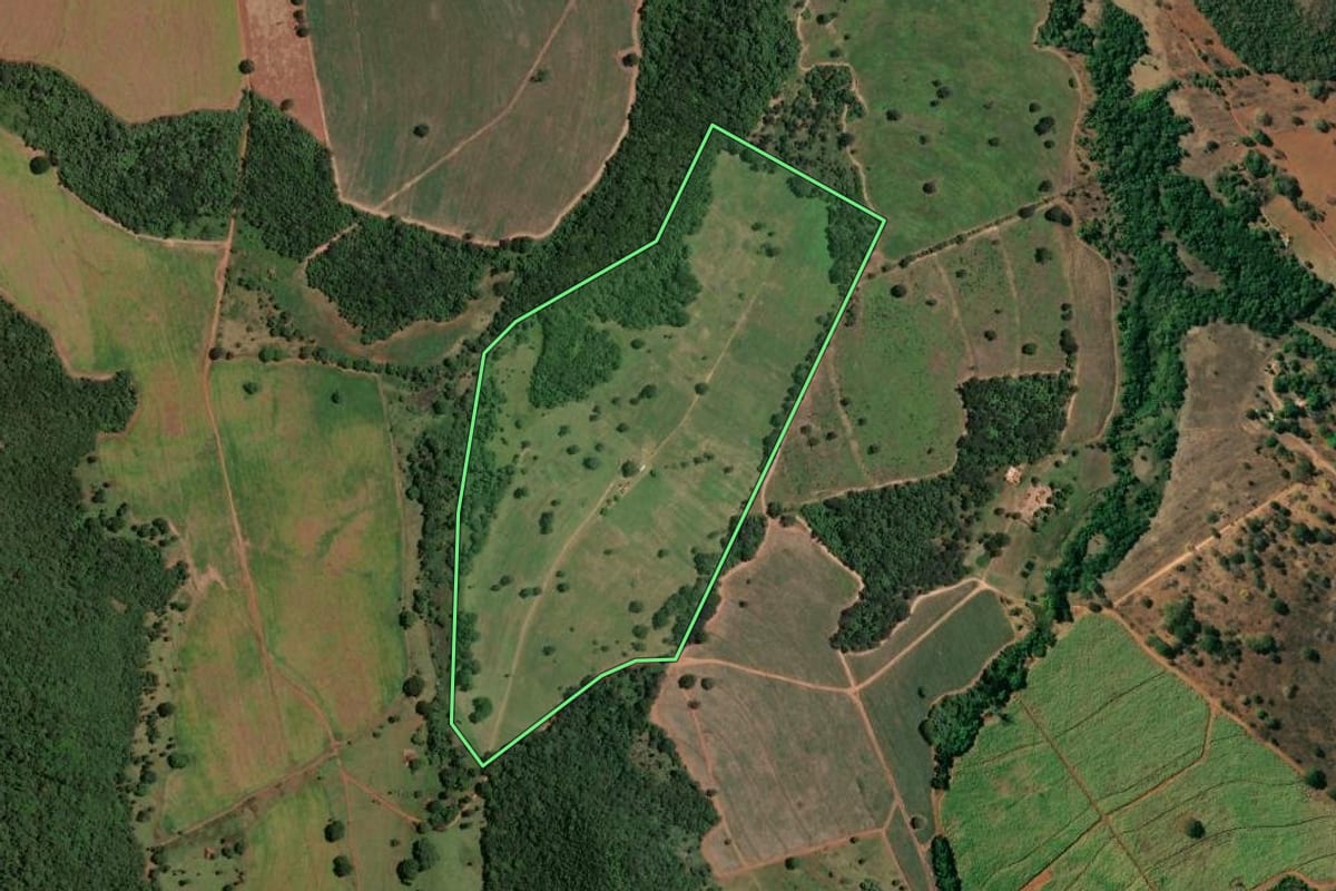 Imagem de satélite do imóvel rural em Rifaina (SP), com o contorno declarado no CAR desenhado por cima.