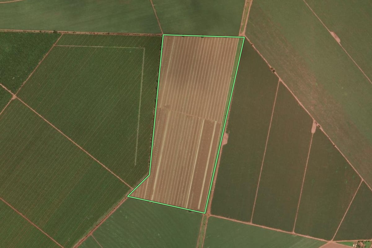 Imagem de satélite do imóvel rural em Rincão (SP), com o contorno declarado no CAR desenhado por cima.