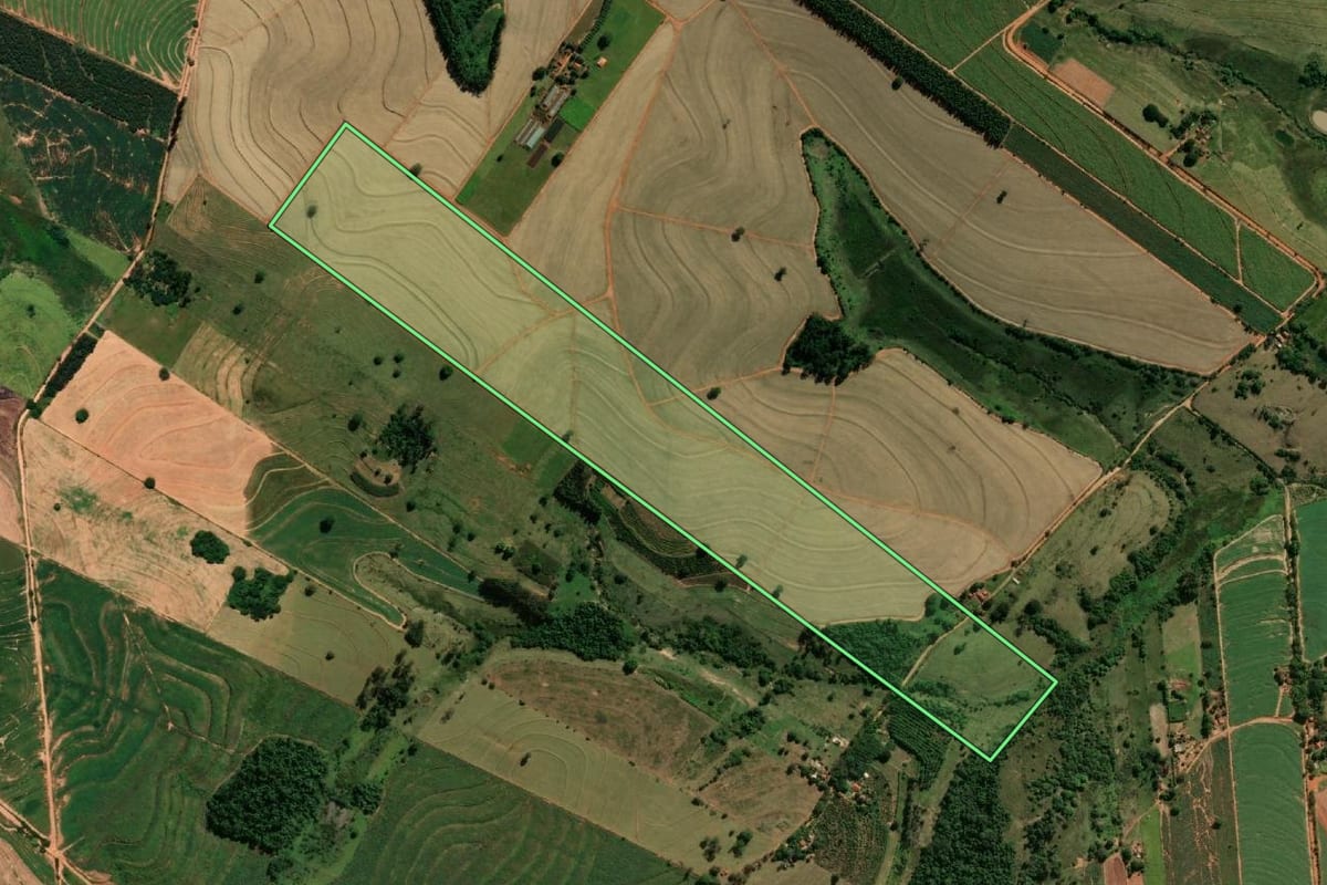Imagem de satélite do imóvel rural em Rinópolis (SP), com o contorno declarado no CAR desenhado por cima.