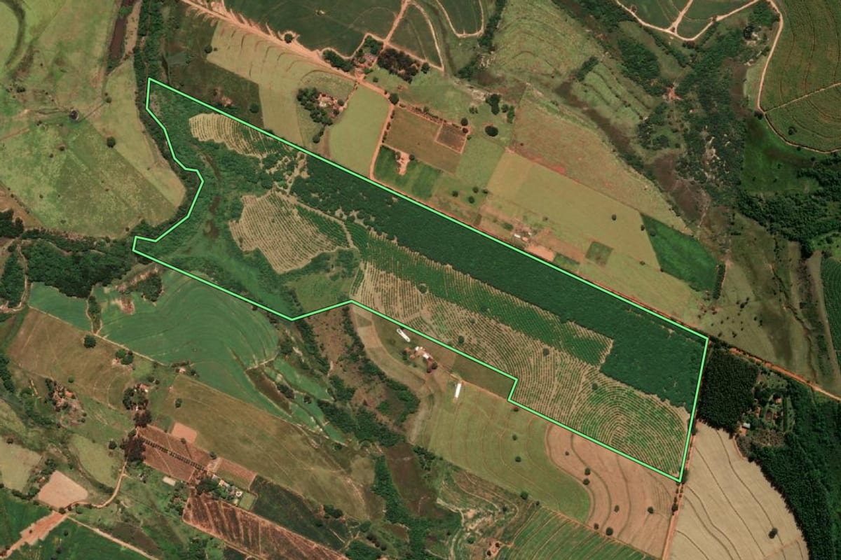 Imagem de satélite do imóvel rural em Rinópolis (SP), com o contorno declarado no CAR desenhado por cima.