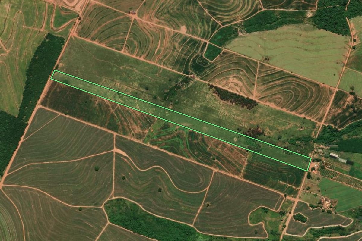 Imagem de satélite do imóvel rural em Rinópolis (SP), com o contorno declarado no CAR desenhado por cima.
