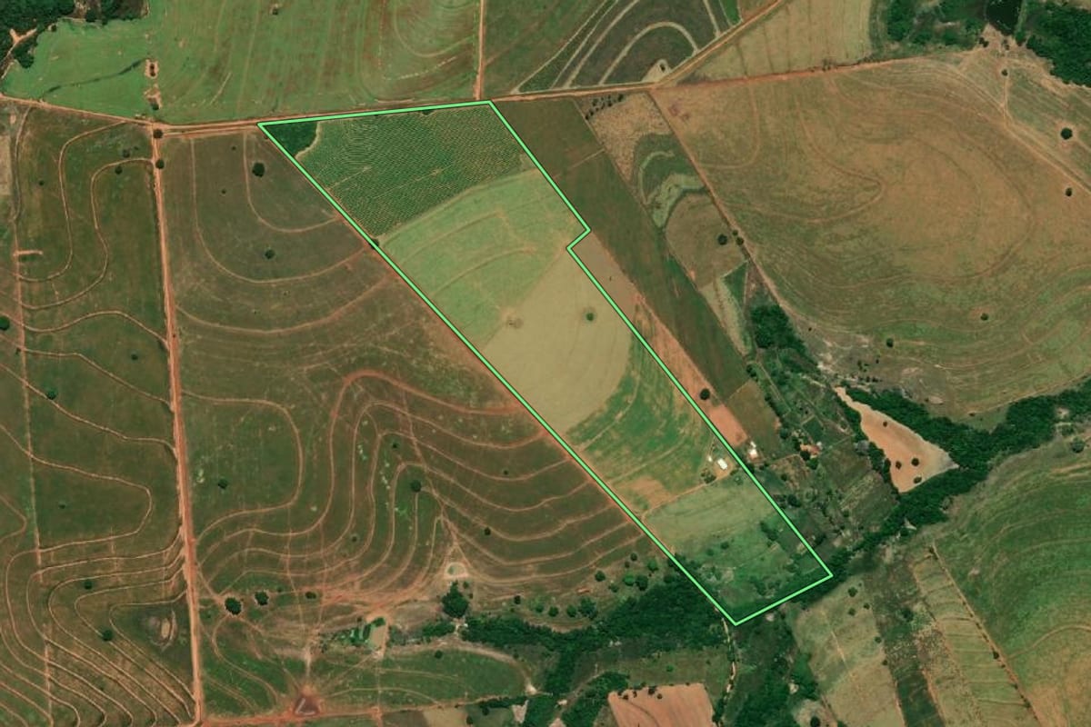 Imagem de satélite do imóvel rural em Rinópolis (SP), com o contorno declarado no CAR desenhado por cima.